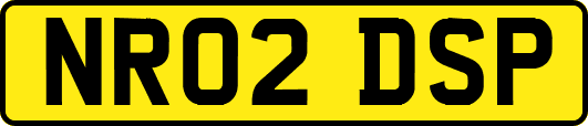 NR02DSP