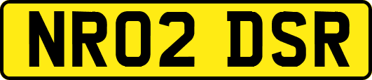 NR02DSR