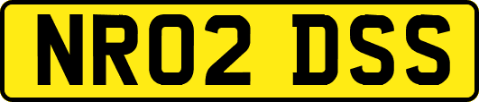NR02DSS