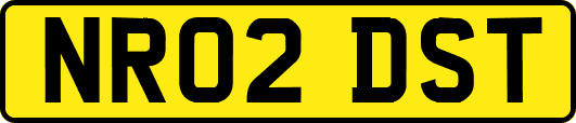 NR02DST