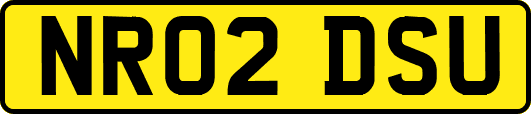 NR02DSU