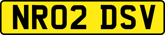 NR02DSV