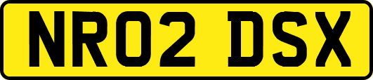NR02DSX