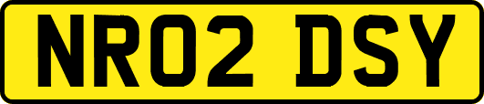 NR02DSY