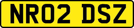 NR02DSZ