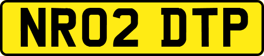 NR02DTP