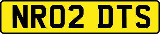 NR02DTS