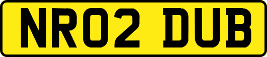 NR02DUB