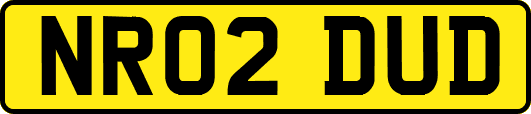 NR02DUD