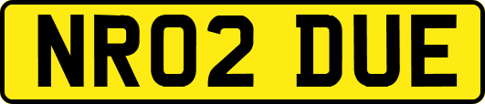 NR02DUE