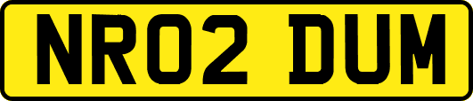 NR02DUM