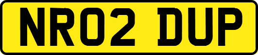 NR02DUP