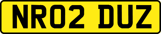 NR02DUZ