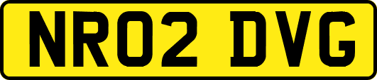 NR02DVG