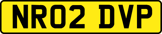 NR02DVP