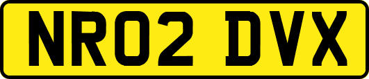 NR02DVX