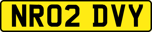 NR02DVY