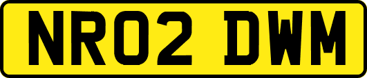 NR02DWM