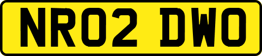 NR02DWO