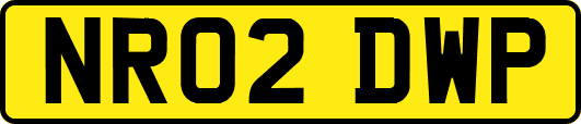 NR02DWP
