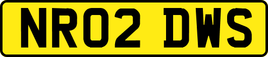 NR02DWS