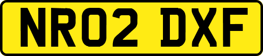 NR02DXF