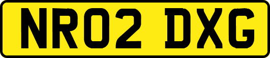 NR02DXG
