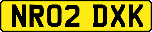 NR02DXK