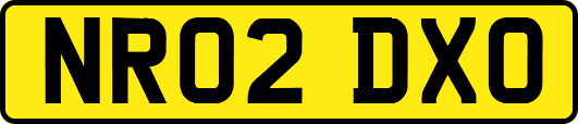 NR02DXO