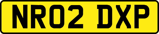 NR02DXP