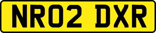 NR02DXR