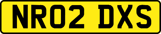 NR02DXS