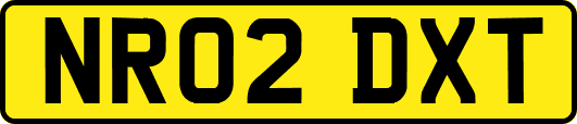 NR02DXT