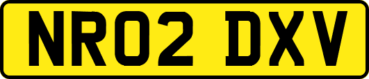 NR02DXV