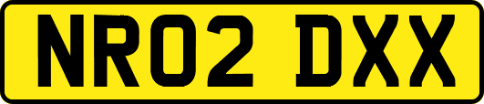 NR02DXX