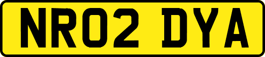 NR02DYA