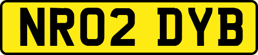 NR02DYB