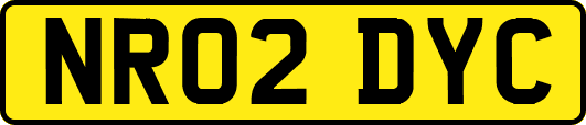 NR02DYC