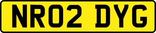 NR02DYG