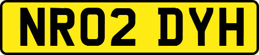 NR02DYH
