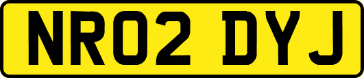 NR02DYJ