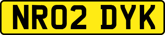 NR02DYK