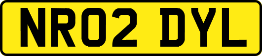 NR02DYL