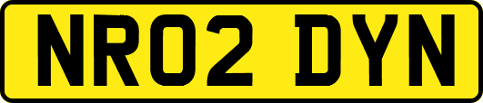 NR02DYN