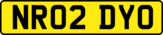 NR02DYO