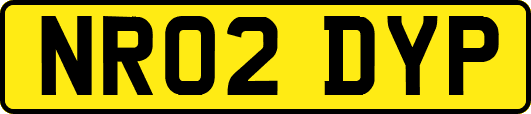 NR02DYP