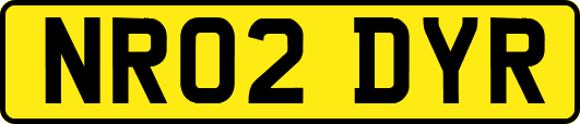 NR02DYR