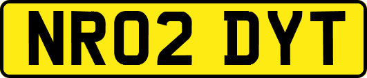 NR02DYT