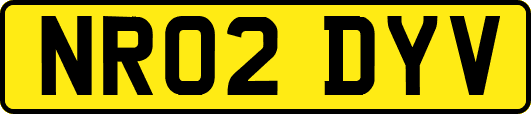 NR02DYV