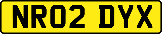 NR02DYX